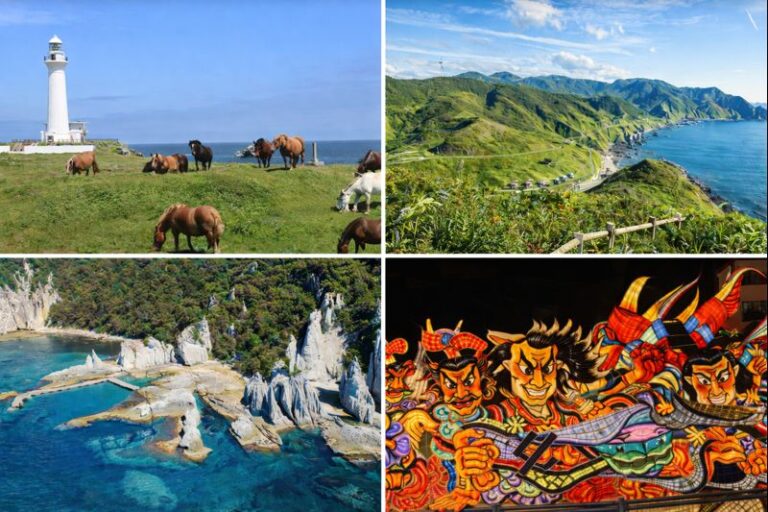 【青森】サーフポイント別ライブカメラ一覧【2026年最新版】