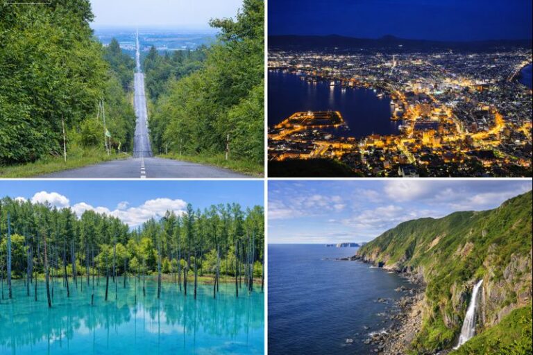 【北海道】サーフポイント別ライブカメラ一覧【2026年最新版】