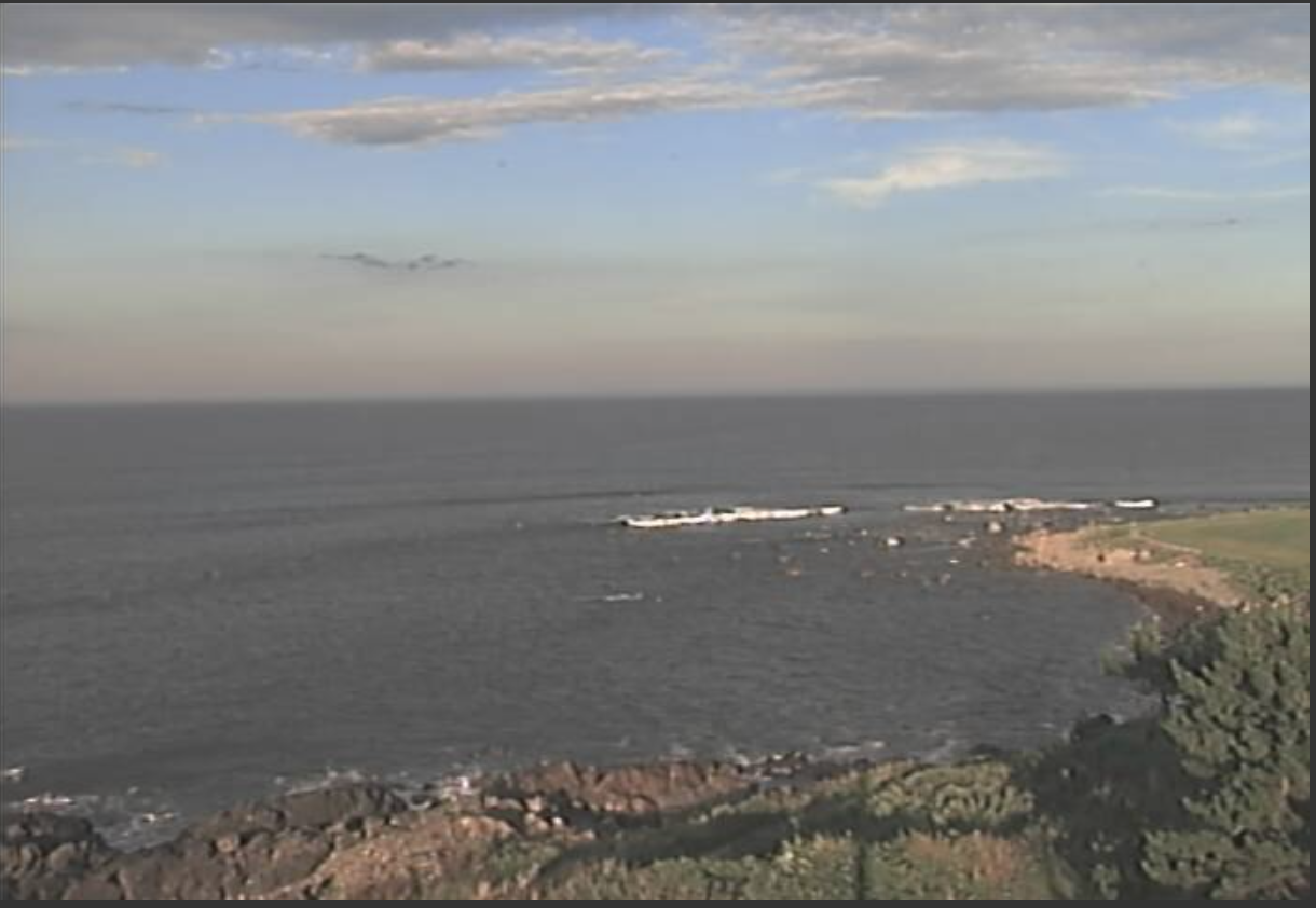 小舟渡（こみなと）漁港