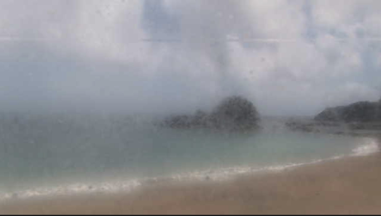 うみがめ博物館カレッタ