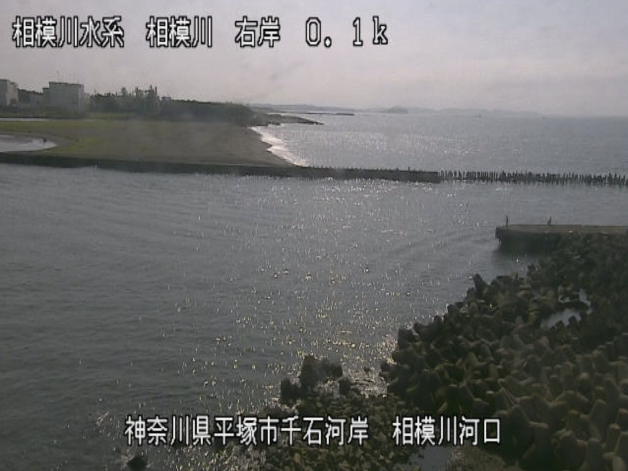 相模川河口