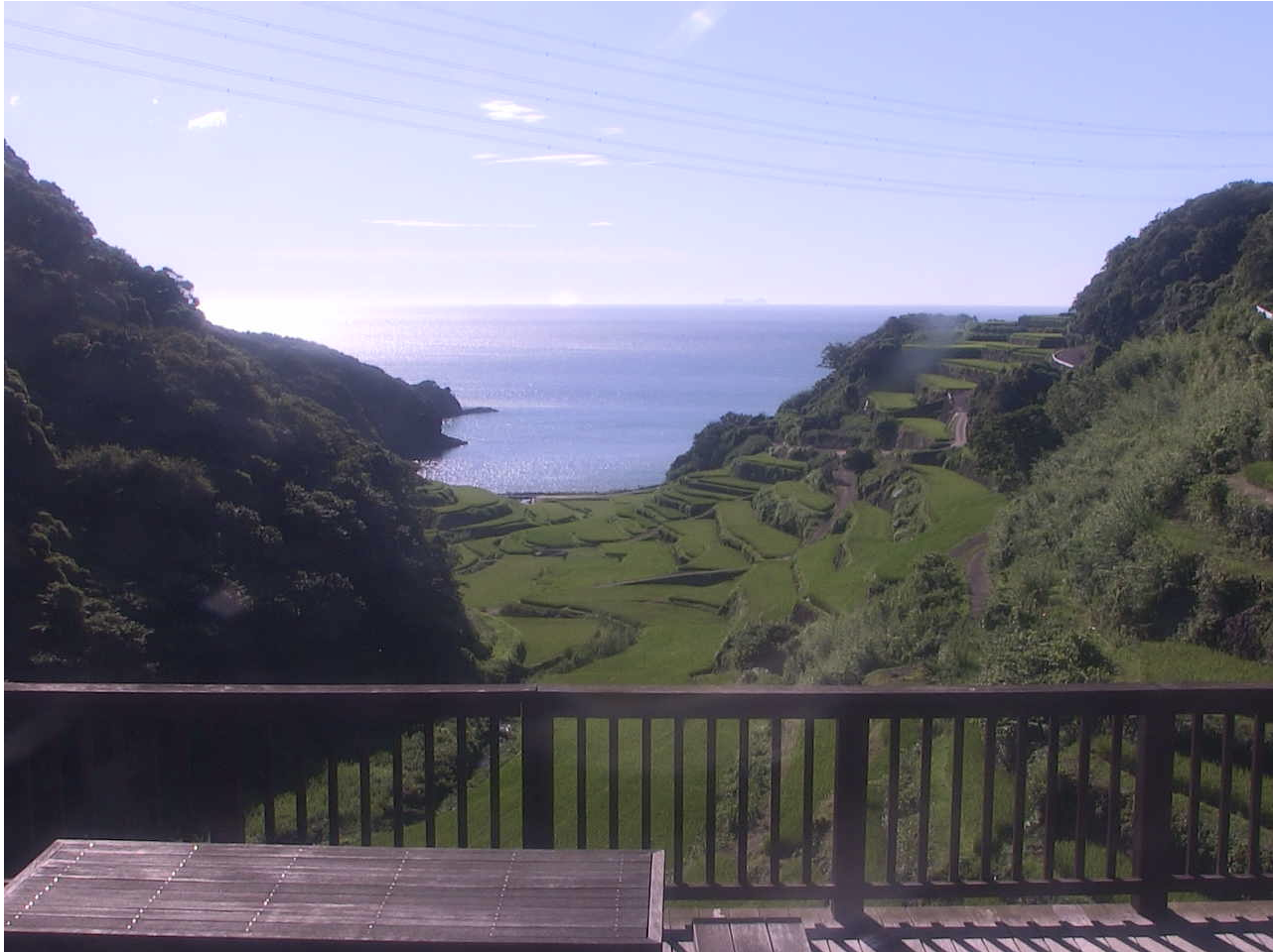 浜野浦棚田展望台