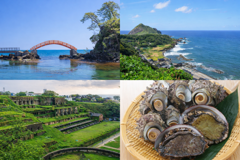 【佐渡島】サーフポイント別ライブカメラ一覧【2026年最新版】