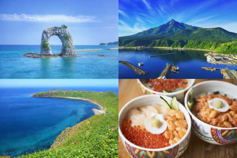 【北海道・アイランド】サーフポイント別ライブカメラ一覧【2026年最新版】