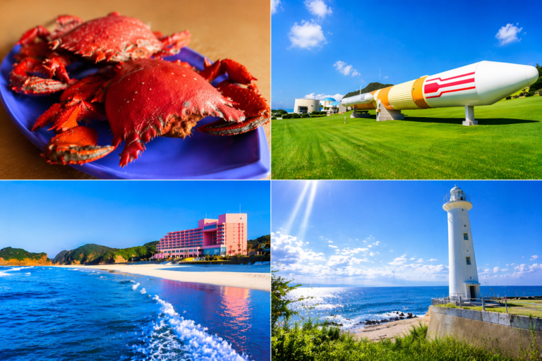 【種子島】サーフポイント別ライブカメラ一覧【2026年最新版】