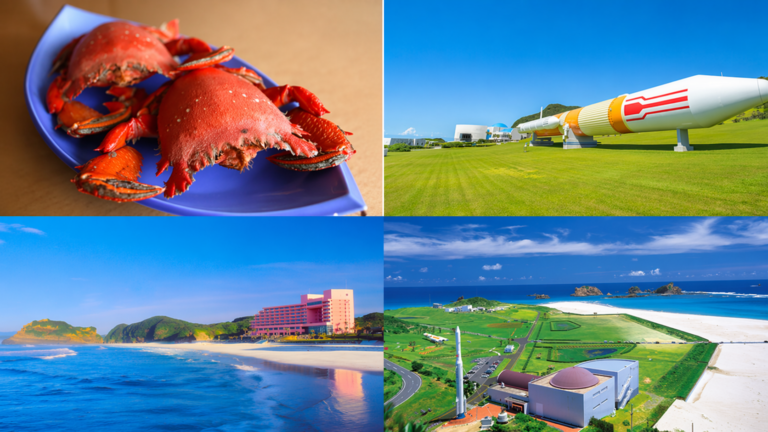 【種子島】サーフポイント別ライブカメラ一覧【2026年最新版】