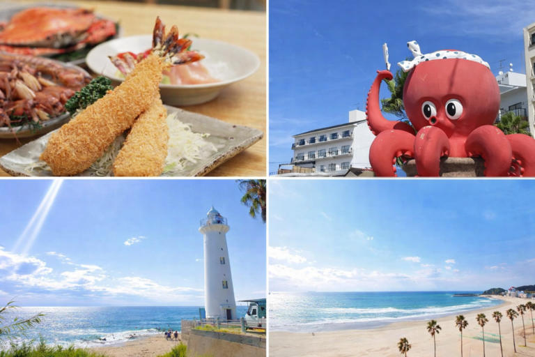 【知多半島】サーフポイント別ライブカメラ一覧【2026年最新版】