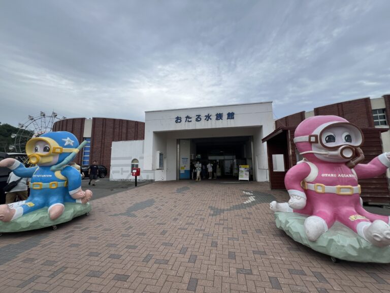 日本一周サーフトリップ7日目｜ひとり水族館とジンギスカン