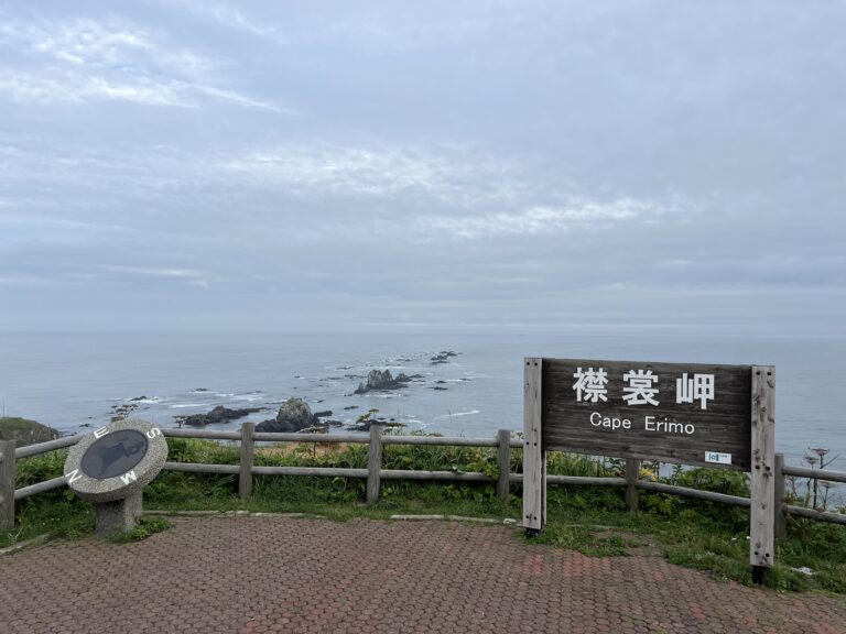 日本一周サーフトリップ16日目｜親子グマとの遭遇、襟裳岬の絶景
